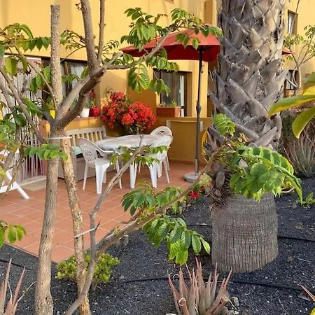 Jardin Canario Corralejo